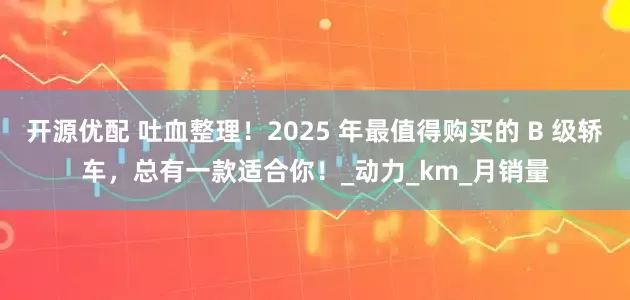 开源优配 吐血整理！2025 年最值得购买的 B 级轿车，总有一款适合你！_动力_km_月销量