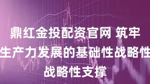鼎红金投配资官网 筑牢新质生产力发展的基础性战略性支撑
