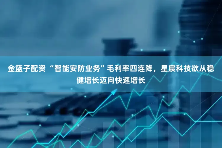 金篮子配资 “智能安防业务”毛利率四连降，星宸科技欲从稳健增长迈向快速增长